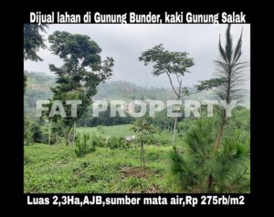 Dijual lahan di Gunung Bunder, kaki Gunung Salak.