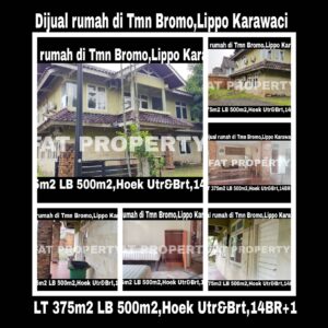 Jual cepat super BU:Rumah asri hoek di Lippo Karawaci Central,di Taman Bromo.