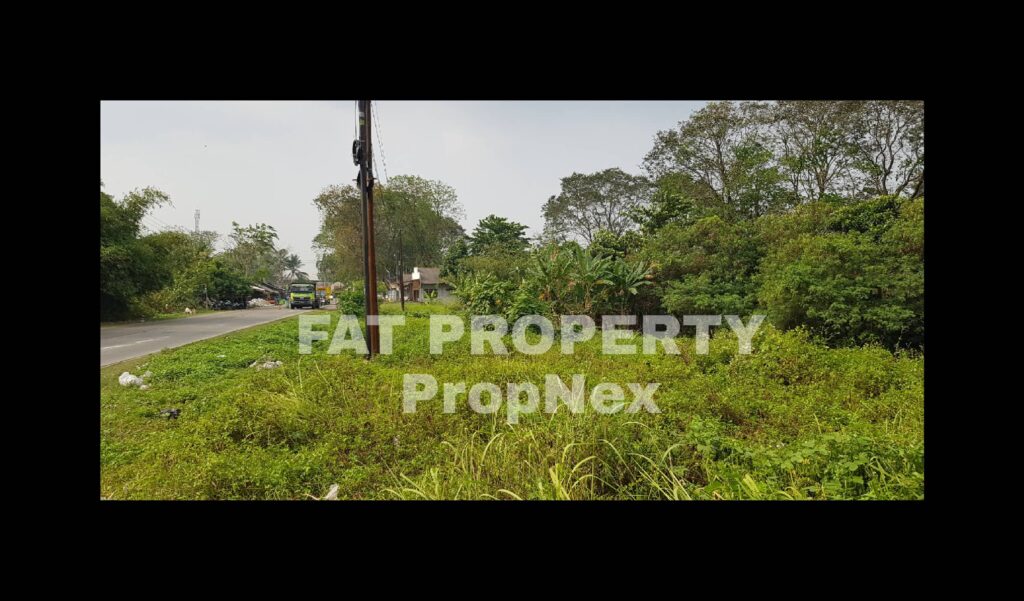 Dijual lahan industry pinggir jalan di Jl Cikande Rangkasbitung km 5,5 arah ke Serang.