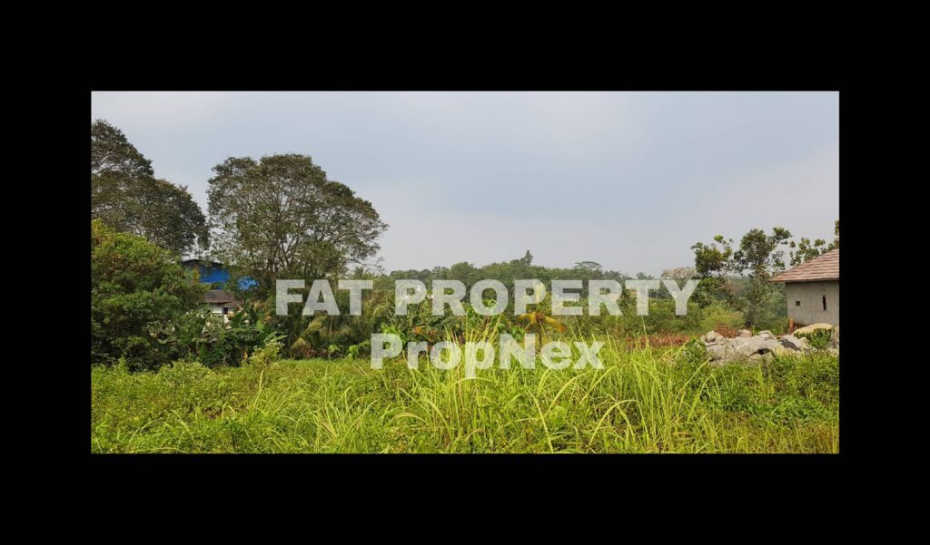 Dijual lahan industry pinggir jalan di Jl Cikande Rangkasbitung km 5,5 arah ke Serang.